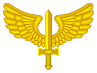 brazilian air force